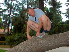 PAOLINO RAMPICANTE PAOLINO RAMPICANTE